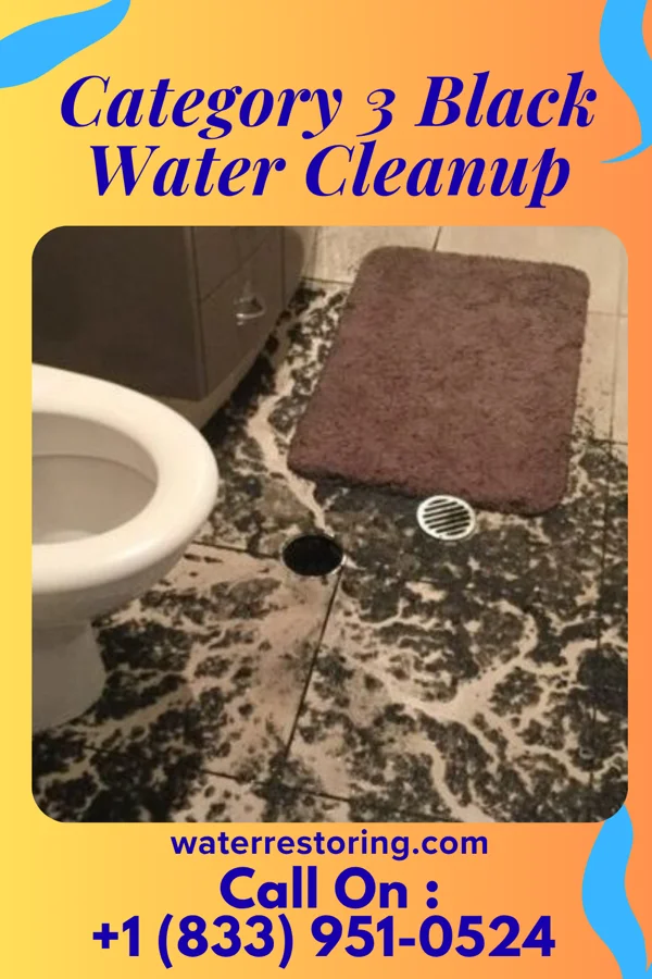 Category 3 Black Water Cleanup in Chillicothe, MO